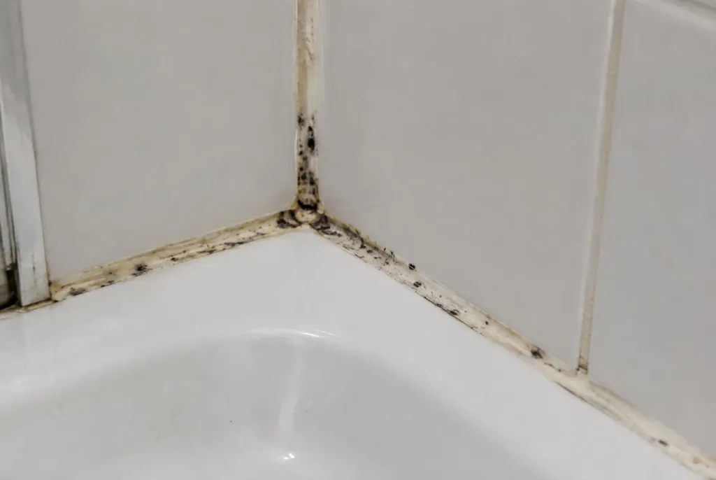 Kitbedrijf Alkmaar – beschimmelde kitranden